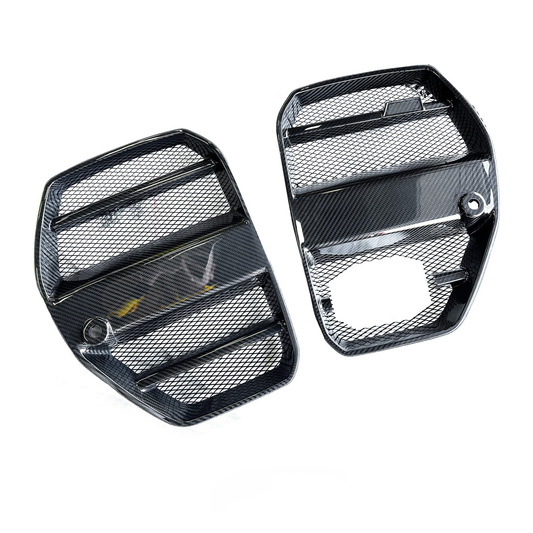 G8X Carbon Fiber Kidney Grilles