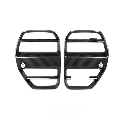 G8X Carbon Fiber Kidney Grilles