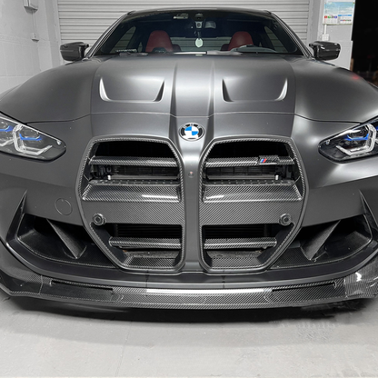 G8X Carbon Fiber Kidney Grilles