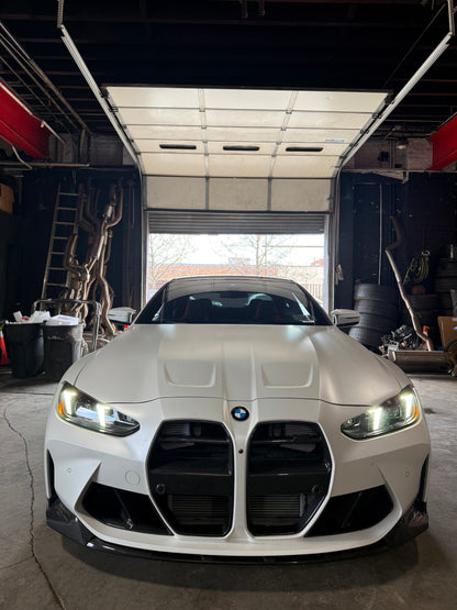 G8X V Style Dry Carbon Front Grille