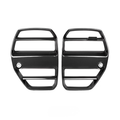 G8X Carbon Fiber Kidney Grilles