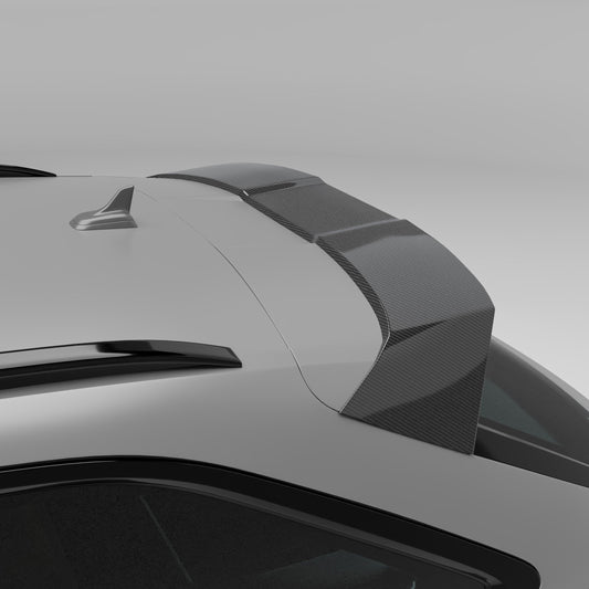 Audi RS6 C8 Carbon Fiber Roof Spoiler - Revozport